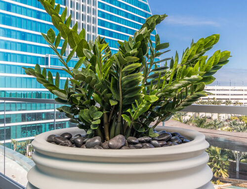 Featured Project: Seminole Hard Rock Hotel & Casino Hollywood Greenwalls and Plant Installations