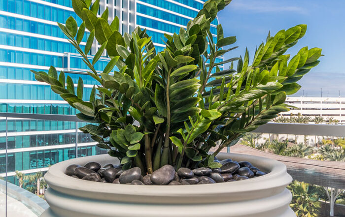 AgroSci Plantscape at luxury suite, Seminole Hard Rock Hotel & Casino