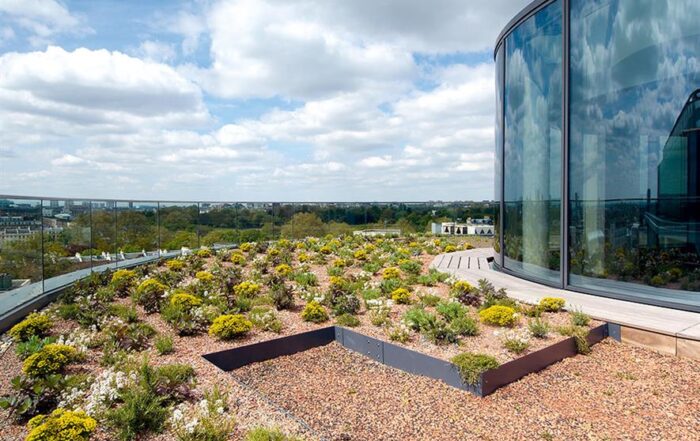 Green Roof