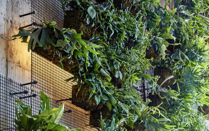 AgroSci Green Wall at 1 Hotel, Brooklyn, NYC